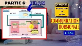 Miniature : Résumé de la régulation de la glycémie 1ère année BAC SCIENCES EX