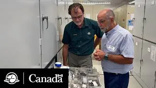 Miniature : Faut le voir pour le croire | Équipe Climat | Parcs Canada