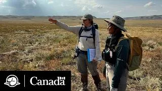 Miniature : Les prairies reprennent vie | Équipe climat | Parcs Canada
