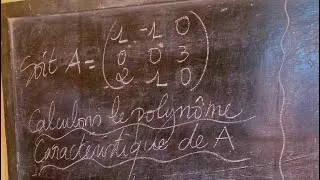 Miniature : 👨‍🏫CALCUL DU POLYNÔME CARACTÉRISTIQUE D’UNE MATRICE-Bac+1👨‍🏫