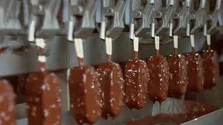 Miniature : La technologie moderne de transformation  des aliments avec des machines automatiques