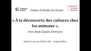 Miniature : À la découverte des cultures chez les animaux
