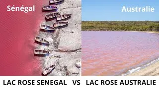 Miniature : Pourquoi ces lacs sont-ils ROSES ? Découvre le secret !