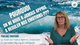 Miniature : Pourquoi on ne nous a jamais appris à réguler nos émotions ???