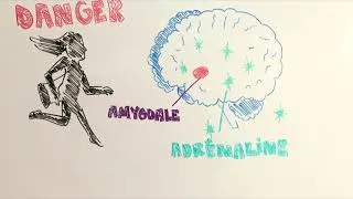 Miniature : Agressions et sidération psychique