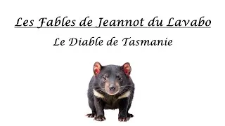 Miniature : FICTION AUDIO : Le Diable de Tasmanie (Fable Originale)