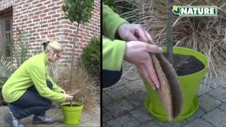 Miniature : Hiverser son jardin avec les disques de plantation en coco