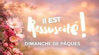 Miniature : Dimanche de Pâques 2026 : Évangile et Prière du Jour | Jésus est Ressuscité  Alléluia