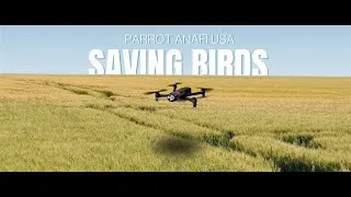 Miniature : Saving Birds with the Parrot ANAFI USA