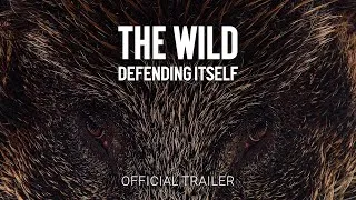 Miniature : The Wild Defending Itself | Official Trailer