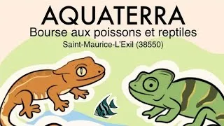 Miniature : Bourse aux reptiles du 25 avril 2026 à Saint Maurice l'Exil 38550 de l'association AQUATERRA