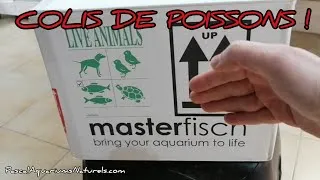 Miniature : Comment fonctionne une commande de poissons internet ??? MasterFisch- Pascal Aquariums Naturels