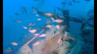 Miniature : PLONGEE sous-marine sur EPAVE - le BYMS - Fréjus St Raphael - VAR Méditerranée