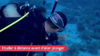 Miniature : THEORIE PLONGEE SSI avec le centre ALPHA BELUGA  Fréjus St Raphael VAR Plonger Zen en Méditerranée