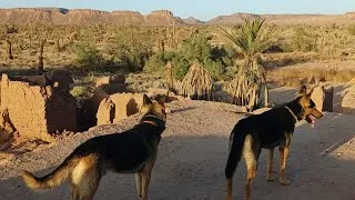 Miniature : Le constat du dérèglement climatique et son impact visuel... 🏜