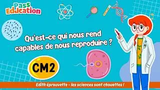 Miniature : Règles, spermatozoïdes, ovules : tout comprendre sur la reproduction humaine CM2 Séquence complète