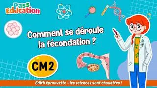 Miniature : Comment se déroule la fécondation ? CM2 Séquence complète (Leçon, exercices et évaluation)