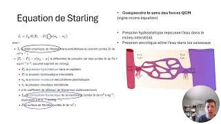 Miniature : Hypothèse Starling échanges capillaire oedème éléphantasis - PASS LAS physiologie science médecine