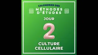Miniature : J2 : Culture Cellulaire