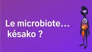 Miniature : Parlons du microbiote...