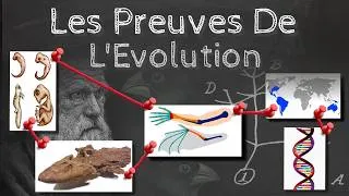 Miniature : Les preuves de l'évolution - Passe-science #64