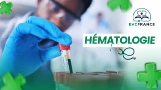 Miniature : Hématologie : Comprendre l’Hémogramme (NFS) -  EVC 2025