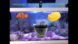 Miniature : Comment faire l'entretien de son aquarium marin (reef 15)