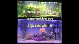 Miniature : 5 erreurs à ne pas commettre dans l'aquariophilie