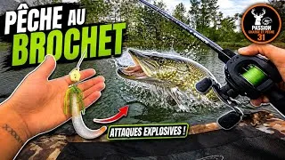 Miniature : BROCHET OUVERTURE 2026 🐊 Session FOLLE en float tube (GROS POISSONS !)