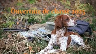 Miniature : OUVERTURE de CHASSE 2025/2026