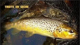Miniature : PÊCHE de la TRUITE à la MOUCHE 