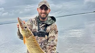 Miniature : OUVERTURE DU CARNASSIER 2025 ! ( Je fais mon record brochet ! )