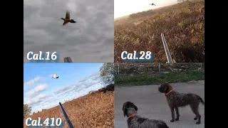 Miniature : Compilation chasse du faisans Cal.16/Cal.28/Cal410