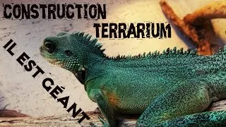 Miniature : Physignatus Cocincinus : construction terrarium