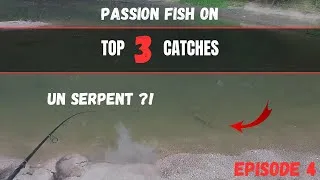 Miniature : TOP 3 CATCHES EP4 - Je pêche un ANIMAL RARE INATTENDU ! (J'étais pas prêt)