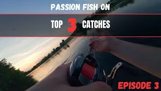 Miniature : TOP 3 CATCHES EP3 - Ces petites cannes NE SONT PAS FAITES pour ça… Et voilà le résultat !