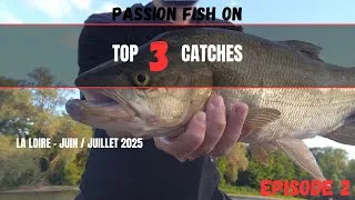 Miniature : PASSION FISH ON - [TOP 3 CATCHES - Episode 2] La LOIRE envoie du LOURD  !