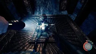 Miniature : NOUVELLE GROTTE, ARMURE D'OR ! SONS OF THE FOREST (S1E17) LET'S PLAY FR