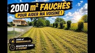 Miniature : J'AI FAUCHÉ 2000 m² POUR AIDER MA VOISINE ! (PARTIE 1 : FAUCHAGE)