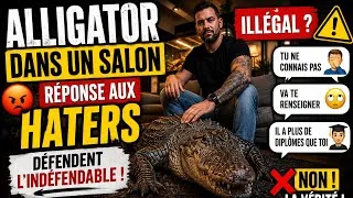 Miniature : 🐊 ALLIGATOR DANS UN SALON : LES HATERS DÉFENDENT L’INDÉFENDABLE… 🤯