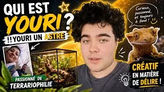 Miniature : 👉 Youri : Génie discret ou OVNI de la terrariophilie ? 🦎✨