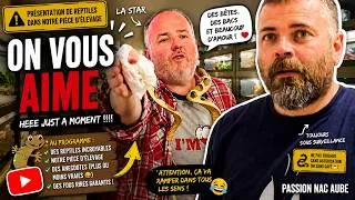 Miniature : 🐍 ON VOUS AIME 😂 | Présentation de reptiles dans notre pièce d’élevage 🦎🔥 (ça part en live !)