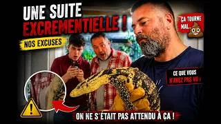 Miniature : 🐍💥 GROS MOMENT DE PANIQUE… la suite part en vrille ! 😨 Des reptiles de OUF !