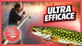 Miniature : ULTRA efficace ! – Dernière Session de 2025 - Session pêche au vif