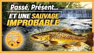 Miniature : Passé, Présent… et une Sauvage Improbable – Pêche au toc