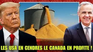 Miniature : Pendant que l'Amérique BRÛLE, le Canada s'enrichit comme jamais !