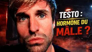 Miniature : La testostérone rend-elle vraiment agressif ?