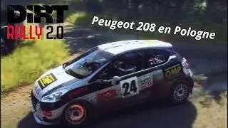 Miniature : Une course en pologne avec la Peugoet 208