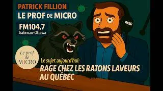Miniature : RAGE chez les ratons laveurs et moufettes au Québec