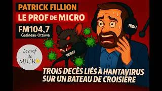 Miniature : HANTAVIRUS: 3 décès sur un bateau de croisière (explications)